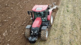 Case IH Maxxum 150 CVX | Trivomere Ermo | Aratura 2020