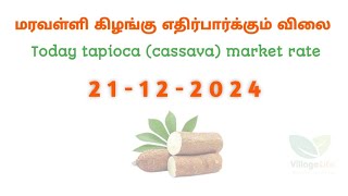 இன்றைய மரவள்ளி கிழங்கு விலை நிலவரம் | today tapioca point rate | 21.12.2024