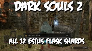 All 12 Estus Flask Shard Locations (Dark Souls 2 Walkthrough)