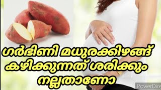 ഗർഭിണികൾ മധുരകിഴങ്ങ് കഴിക്കാമോ / Sweet potato during pregnancy