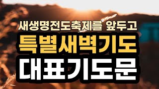 새생명 전도를 위한 특별새벽기도회 대표기도문ㅣ 전도와 영혼구원을 위한 예배 기도문ㅣ믿지않는 자를 위한 기도 예시문