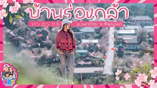 ภูลมโล l บ้านร่องกล้า l กางเต็นท์ไร่ลมหนาว EP.1/2