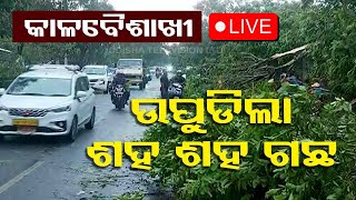 Live | କାଳବୈଶାଖୀରେ ଉପୁଡ଼ିଲା ଶହଶହ ଗଛ | Thunderstorm In Bhubaneswar | Odisha | OTV