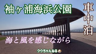 【千葉県車中泊スポットNo. 1】最高のデートスポット、イベントや猫がたくさん😺