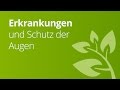 Die Augen - Erkrankungen und Schutz | Biologie | Biologie des Menschen (Mittelstufe)