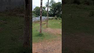 18 cents residential land at Kattungachira | Irinjalakuda | Thrissur | Price 4.70 lakhs/cent