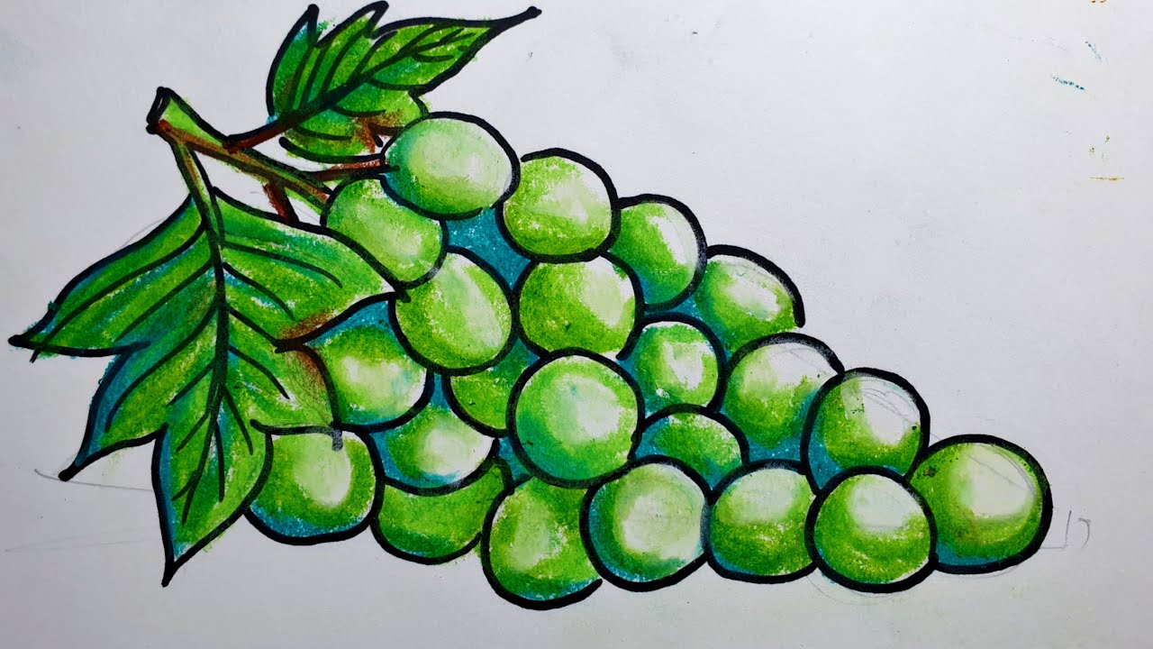 HOW TO DRAW GRAPES STEP BY STEP - YouTube