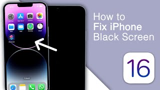 How to Fix Black Screen of Death on iPhone [5 Ways!]