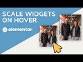 Scale Widgets on Hover in Elementor (Beginners Tutorial)