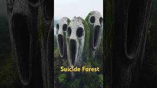 Inside Japan's Suicide Forest || rahasyamayi jungle 😱😳 #shorts #facts #jungle