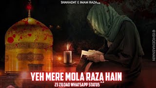 Yeh Mera Mola Raza Hain | 23 Zilqad Status | Shahadat e Imam Raza ع WhatsApp status | Ishq e hasnain
