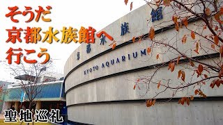 京都水族館に行ってきました。辻利わらび餅の開封もあるよ！【アクアリウム】