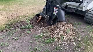 Stumper 280 Stump Grinding (Part 1)