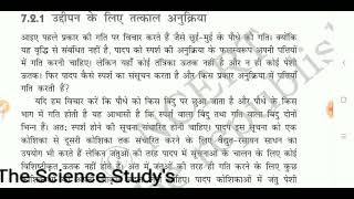 संवेदनशील पौधा, (मिमोसा पुडिका), जिसे विनम्र पौधा भी कहा जाता है, मटर परिवार में पौधा (फैबासी) जो इस