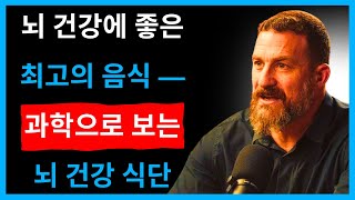 ➡️뇌 건강에 좋은 음식 TOP 7 — 과학이 증명한 뇌 기능 향상 식단 — Dr. Andrew Huberman