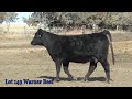 lot 149 warner beef