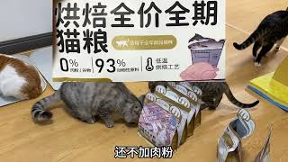 新手养猫千万别买这些！ #新手养猫 #养猫避雷 #养猫