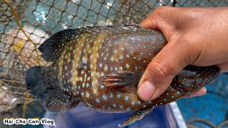 Nghề Bóng Cá Mú, Đặt Cua Biển Mưu Sinh Trên Đảo Ngọc Phú Quốc