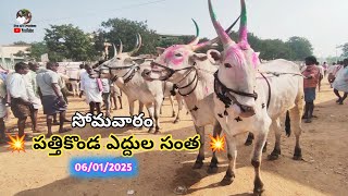 Pattikond Monday bulls // Kurnool district Bulls Market Videos Pattikond 2025