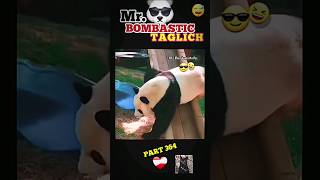 Bombastic Kung fu Panda