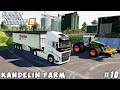 Continued maize silage harvesting, selling corn grain | Kandelin Farm | Farming simulator 19 |  #10