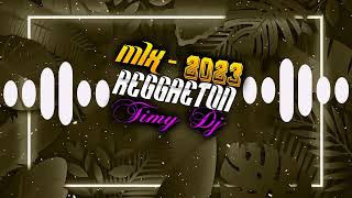 MIX REGGAETON EXTENDED 2023 | REMIX TIMY DJ