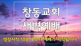 2021-1-30(토) | 새벽예배ㅣ마태복음 8:14~22ㅣ오세윤 목사 | 창동교회