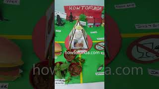 health and cleanliness science project model - #shorts  - howtofunda