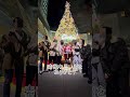 渋谷駅に拾われに行ってみた shorts クリスマス 渋谷