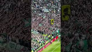 Celtic fc green brigade doing there thing champions 🏆💀🇮🇪🍀💚