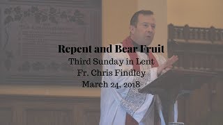 The Christ and the People - Fr Chris Findley Sermon