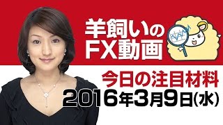 羊飼いのFX動画・水曜版「週前半の復習と本日及び週後半の注目ポイント」3月9日(水)