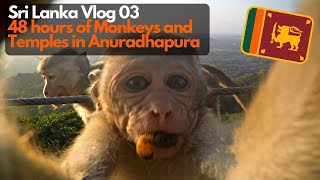 48 hours in ANURADHAPURA + MIHINTALE! (BEST Homestay, Monkeys, Buddhism)