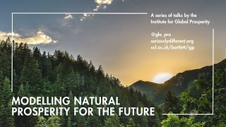 Natural Capital, Ecosystem & Sustainable Wellbeing | Prof Robert Costanza | IGP Director's Seminar