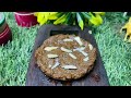 gud kurkuri गुड की कुरकुरी miniature delicious dish for winters with mini village food dd