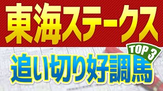 【東海ステークス2022】調教や追い切りが好評価だった「トップ3」はこの馬だ🐴【東海S予想】