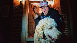 I STOLE CYRUS DOBRE'S DOG! | STEVE PEREZ