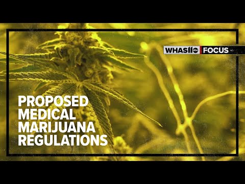 Kentucky Governor: Medical Cannabis Program On Schedule - YouTube