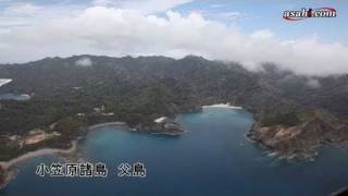 小笠原諸島、世界自然遺産登録へ