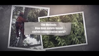 The methods: how does nature-based carbon sequestration work?