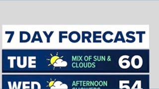 The next seven days