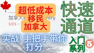 加拿大EE快速通道 101系列 第五集 - 实战演练! 手把手带你用CRS打分工具