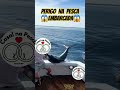 PEIXE QUASE MATA O PESCADOR#pesca #pescaria #praia #fishing #fish #subscribe #shorts #shortvideo