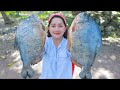 Yummy Cooking Fish Tom Yum Recipe - Cooking With Sros