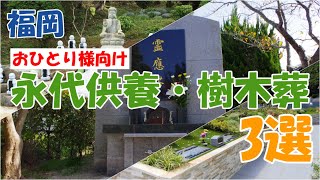 福岡でおひとり様向きの永代供養墓・樹木葬おすすめ3選を紹介します。