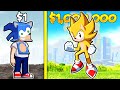 $1 VS $1,000,000 SONIC In GTA 5!