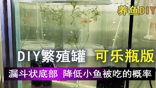 孔雀鱼可乐瓶繁殖罐，降低小鱼被吃的风险