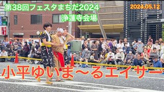 第38回フェスタまちだ2024  浄蓮寺会場  小平ゆいま〜るエイサー