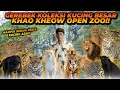 LIHAT KOLEKSI KUCING BESARNYA KHAO KHEOW ZOO ! HAMPIR SEMUA JENIS ADA ! YANG SATU INI SANGAT LANGKA