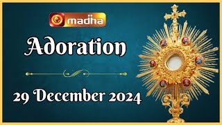 🔴 LIVE 29 December 2024 | Adoration 11:00 AM | Madha TV